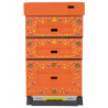 Ruche 10C EASY-ONE DECO orange avec ruches